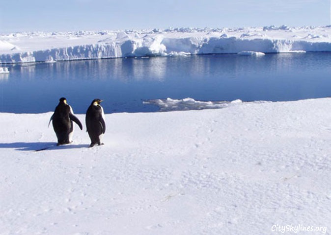 Antartica Skyline