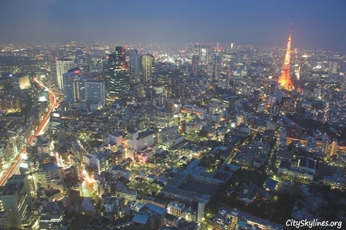 Tokyo City, Night Overlook