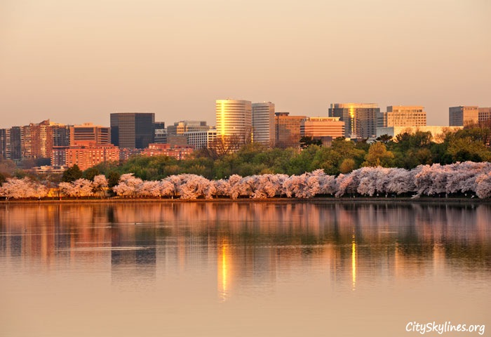 Rosslyn Virginia Skyline